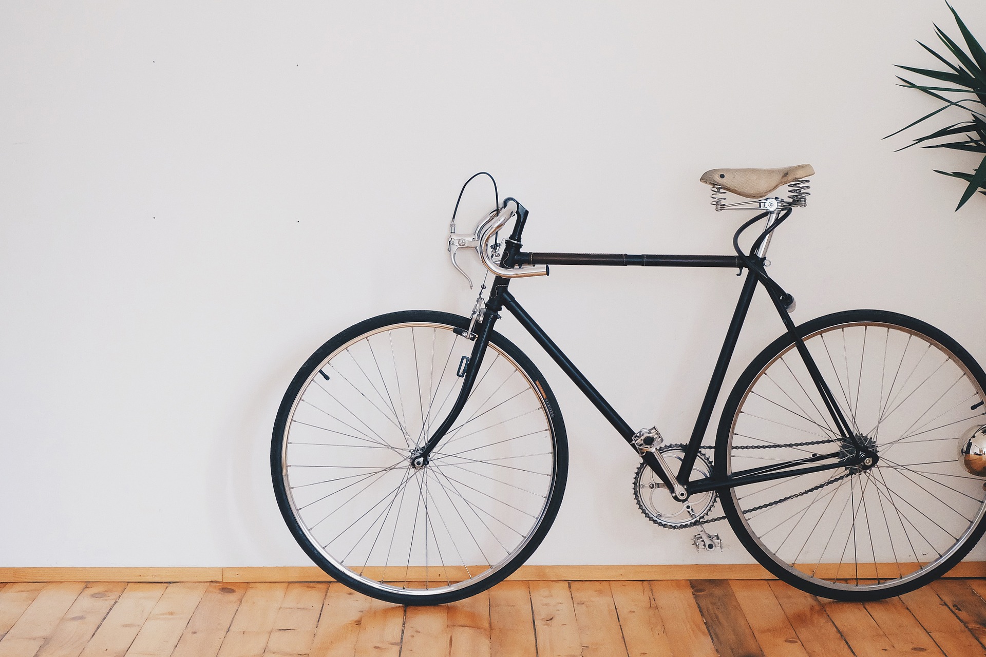 Store your bike on a vertical bike rack instead of keeping it around the apartment. 